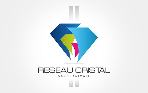 Le réseau Cristal